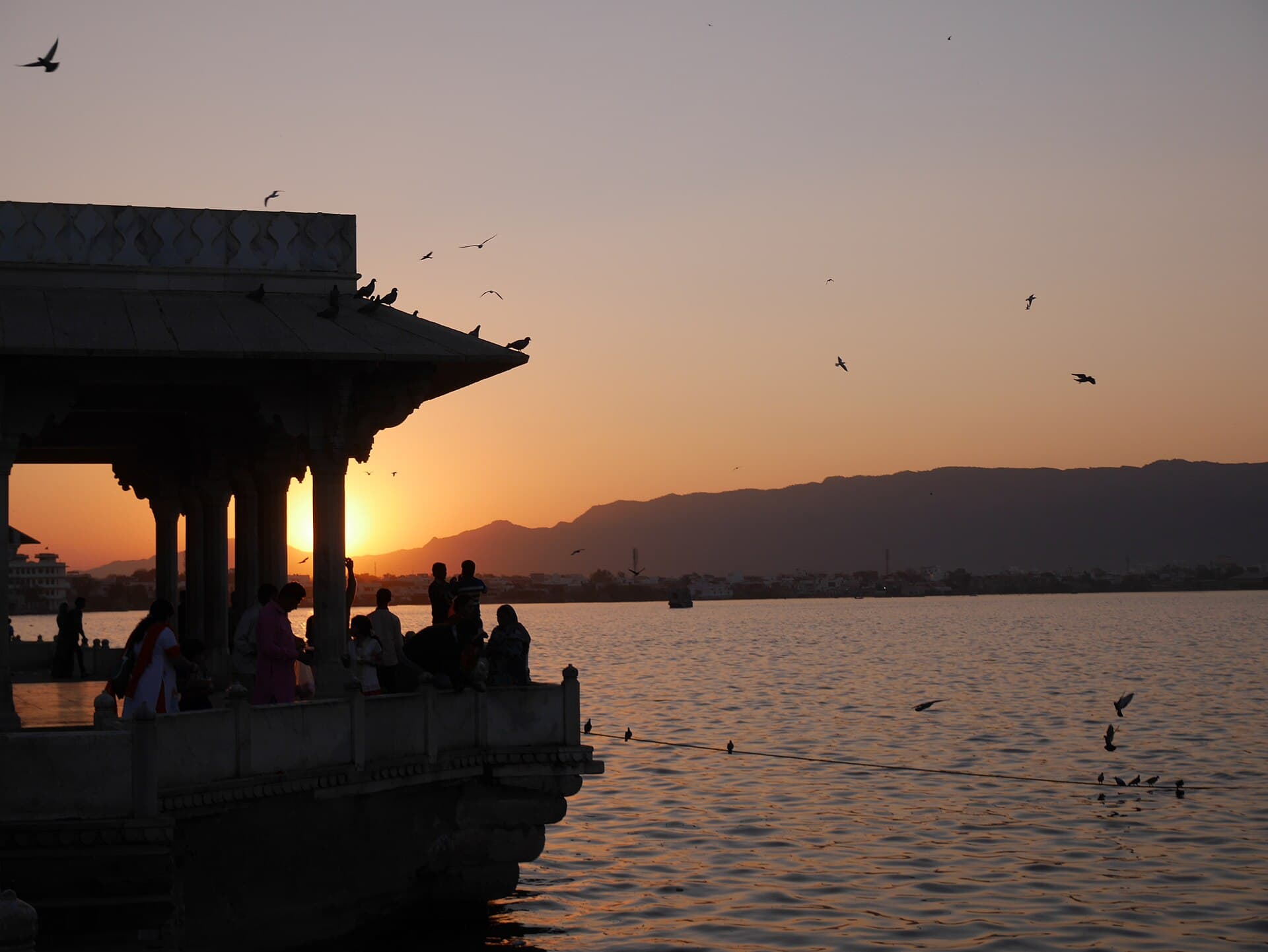 Force Urbania hire in Ajmer, Rajasthan